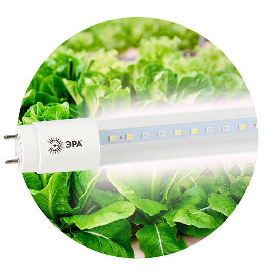 Лампа Эра Фито 9W FITO-9W-Ra90-T8-G13-NL для растений полноспектральная